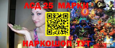 стафф Новокубанск