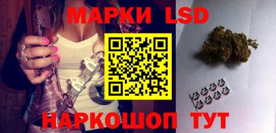 стафф Новокубанск