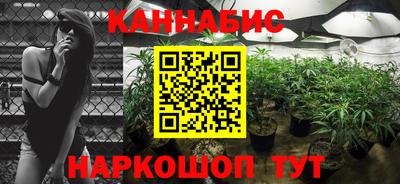 стафф Новокубанск