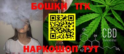 крисы Новодвинск