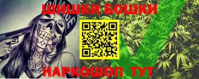 крисы Новодвинск