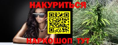 стафф Новокубанск