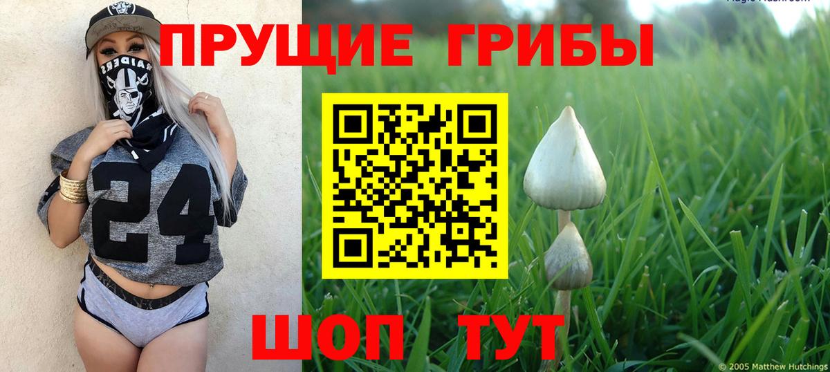 Галлюциногенные грибы мицелий Усинск
